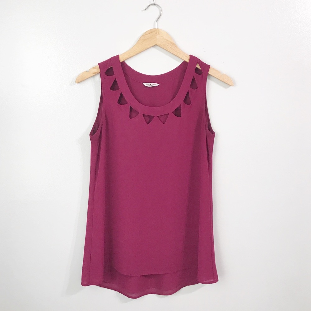 • Naked Zebra • Triangle Tank